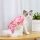 thumbnail image 3 of Traje de recuperación de cirugía de gato para heridas abdominales quirúrgicas, ropa interior para mascotas para gatos después de la cirugía, traje de pijama, 3 of 6