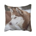 thumbnail image 1 of BOSDECO Mushing Competitions In Sled Dog Racing Red Siberian Husky Is Waiting For Its Launch Race Pillowcase Throw Pillow Cover Case 18x18 inches, 1 of 2