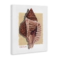 thumbnail image 3 of Stupell Industries Nautical Triton Shell Canvas Wall Art design by Nancy Overton, 40 x 30, 3 of 7