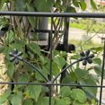 thumbnail image 4 of S-HOME Metal Garden Trellis Set, Rust-Resistant Finish, 2 Pack for Climbing Plants and Flowers, Outdoor, 4 of 10