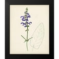 thumbnail image 2 of Unknown 20x24 Black Modern Framed Museum Art Print Titled - Watercolor Botanical Sketches X, 2 of 5