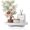 White, variant on Round Decorative Tray Wood Bathroom Counter Organizer Farmhouse Kitchen Decor Wooden Riser for Soap Dish, Perfume, Candle, Sponge, 9" - White