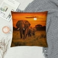thumbnail image 2 of Fenyluxe Elephants Sunset Wildlife Pillow Covers for Couch Sofa Indoor Outdoor Home Decor Short Plush 1PC 12x12in, 2 of 5