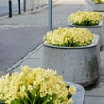 thumbnail image 4 of 12 Bundles Artificial Daffodil Flowers for Outdoors Fake Flowers Greenery No Fade Faux Plastic Plants for Decoration Outside UV Resistant Home Garden Porch Window Box Decorating(Yellow), 4 of 6