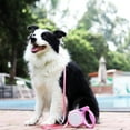 thumbnail image 4 of DOGNESS Reflective Retractable Dog Leash, One Button Brake & Lock Anti-Slip Handle, Strong Nylon Ribbon Tape, 13-19 ft Long Dogs, Three Colors Reflective Sticker (Pink, 10 ft / up to 25 lbs), 4 of 5
