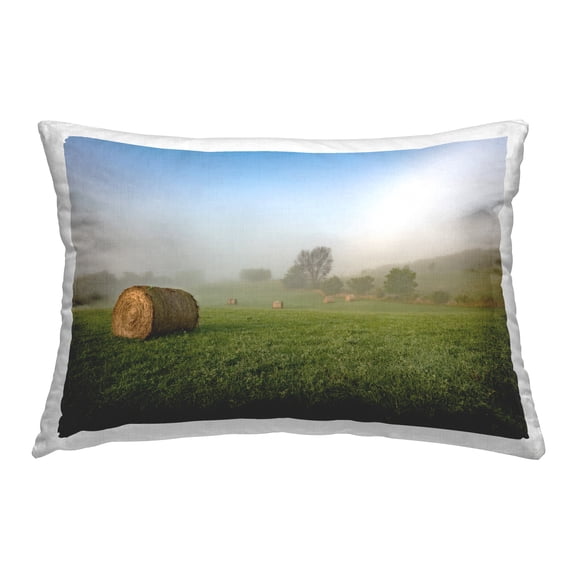 Stupell Industries Hay Bales Country Horizon Decorative Printed Throw Pillow Design by Marty Hulsebos.
