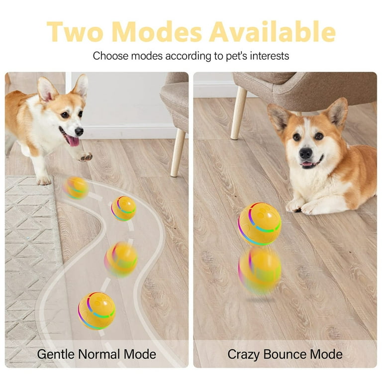 Interactive Dog Ball Toys Durable