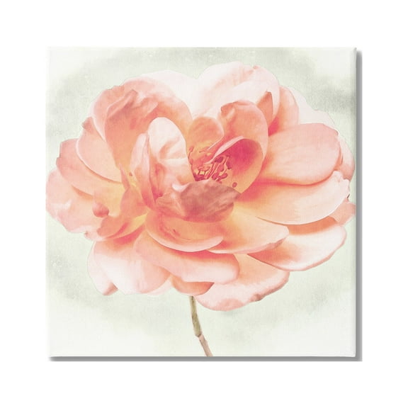 Stupell Industries Soft Pink Dahlia Botanical & Floral Painting Gallery Wrapped Canvas Art Print Wall Art, 17 x 17