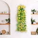 thumbnail image 5 of Rosa Artificial, Enredadera De Plstico Decorativa, Material Plstico Duradero, Para Techo De Sala De Estar, Plantas Artificiales, Para Colgar En La Pared, Decoracin Del Hogar, Vegetacin, Ukhbmc, 5 of 9