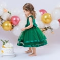 thumbnail image 5 of WOYY Newborn Girls Wedding Party Princess Dress Sleeveless Pageant Gown, Sizes 0-18M, 5 of 8