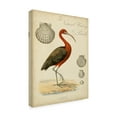 thumbnail image 2 of Trademark Fine Art 'Heron Anthology II' Canvas Art by Vision Studio, 2 of 4