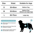 thumbnail image 4 of Paquete de 3 pañales ecológicos lavables para perros para higiene y entrenamiento para ir al baño, 4 of 4