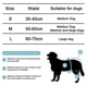 thumbnail image 4 of Paquete de 3 pañales para perros lavables y reutilizables, pantalones fisiológicos para perros altamente absorbentes, pañales sanitarios, pantalones fisiológicos para prevenir el acoso de mascotas, 4 of 4