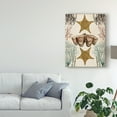 thumbnail image 3 of Trademark Fine Art 'Antiquarian Menagerie Starfish' Canvas Art by Naomi McCavitt, 3 of 4