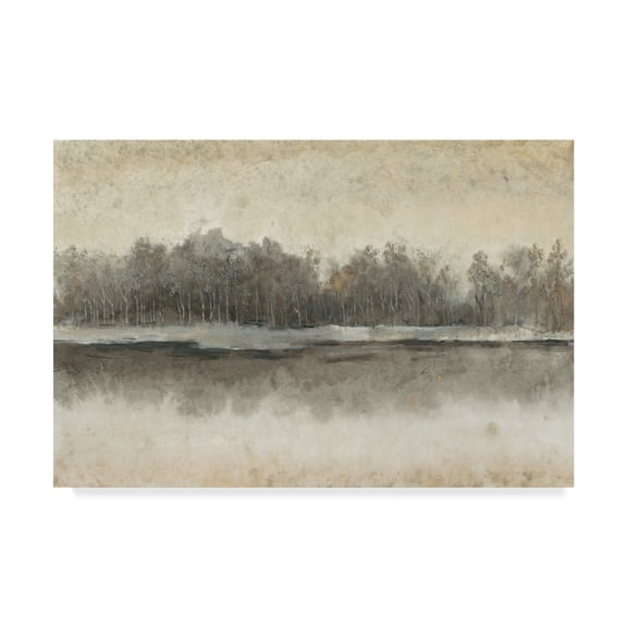 Trademark Fine Art 'Edgewater I' Canvas Art by Tim OToole