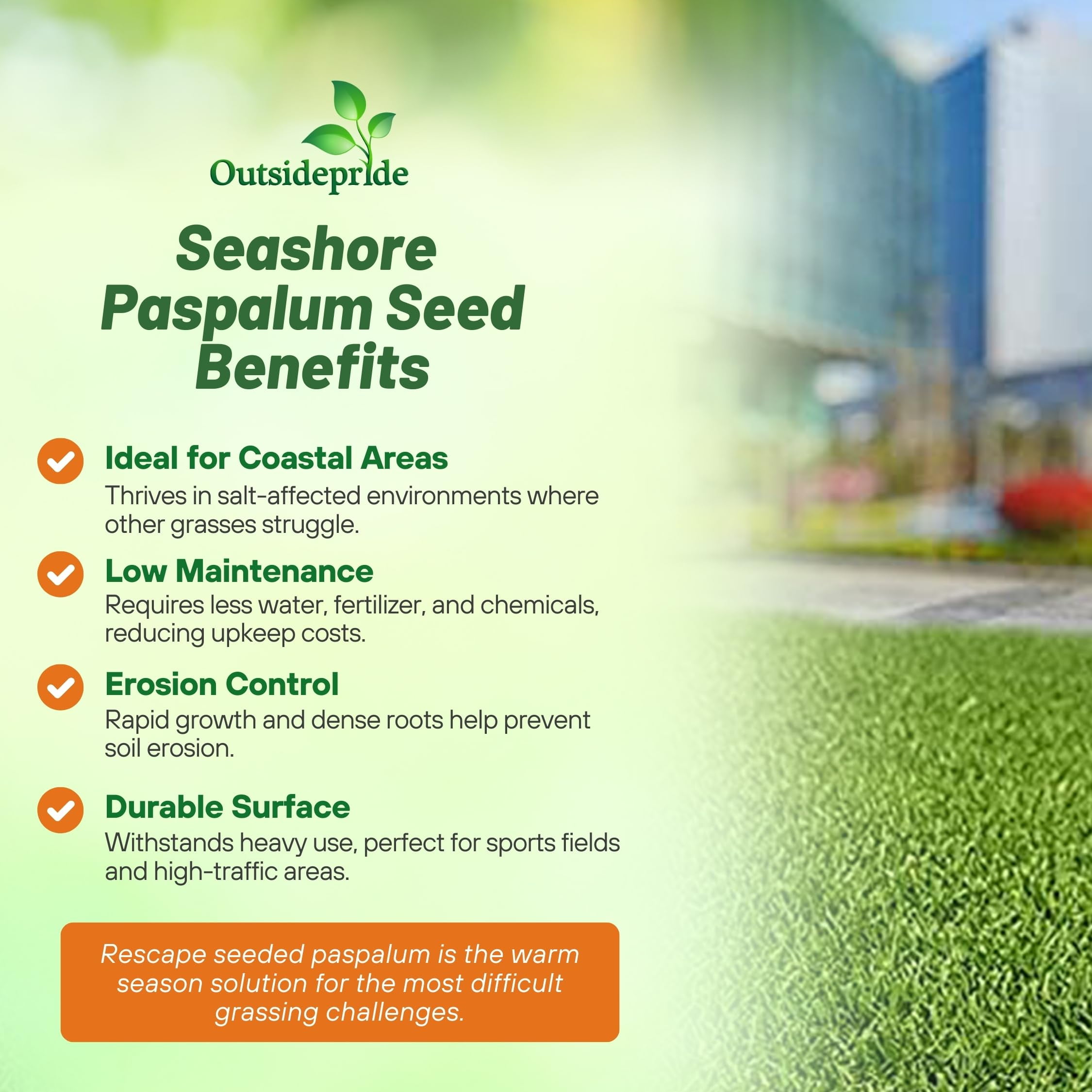 Outsidepride Warm Season Seashore Paspalum Salt Tolerant Lawn, Turf Grass Seed - 5 LBS