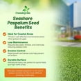 thumbnail image 3 of Outsidepride Warm Season Seashore Paspalum Salt Tolerant Lawn, Turf Grass Seed - 5 LBS, 3 of 5