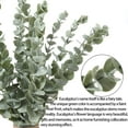 thumbnail image 5 of 12pack Eucayptus Stems Real Touch Leaf Fake Greenery Decor Plastic Artifical Plants Faux Eucalyptus Leaves Wedding Bouquet Dining Table Centerpiece Home Decor (Green), 5 of 5