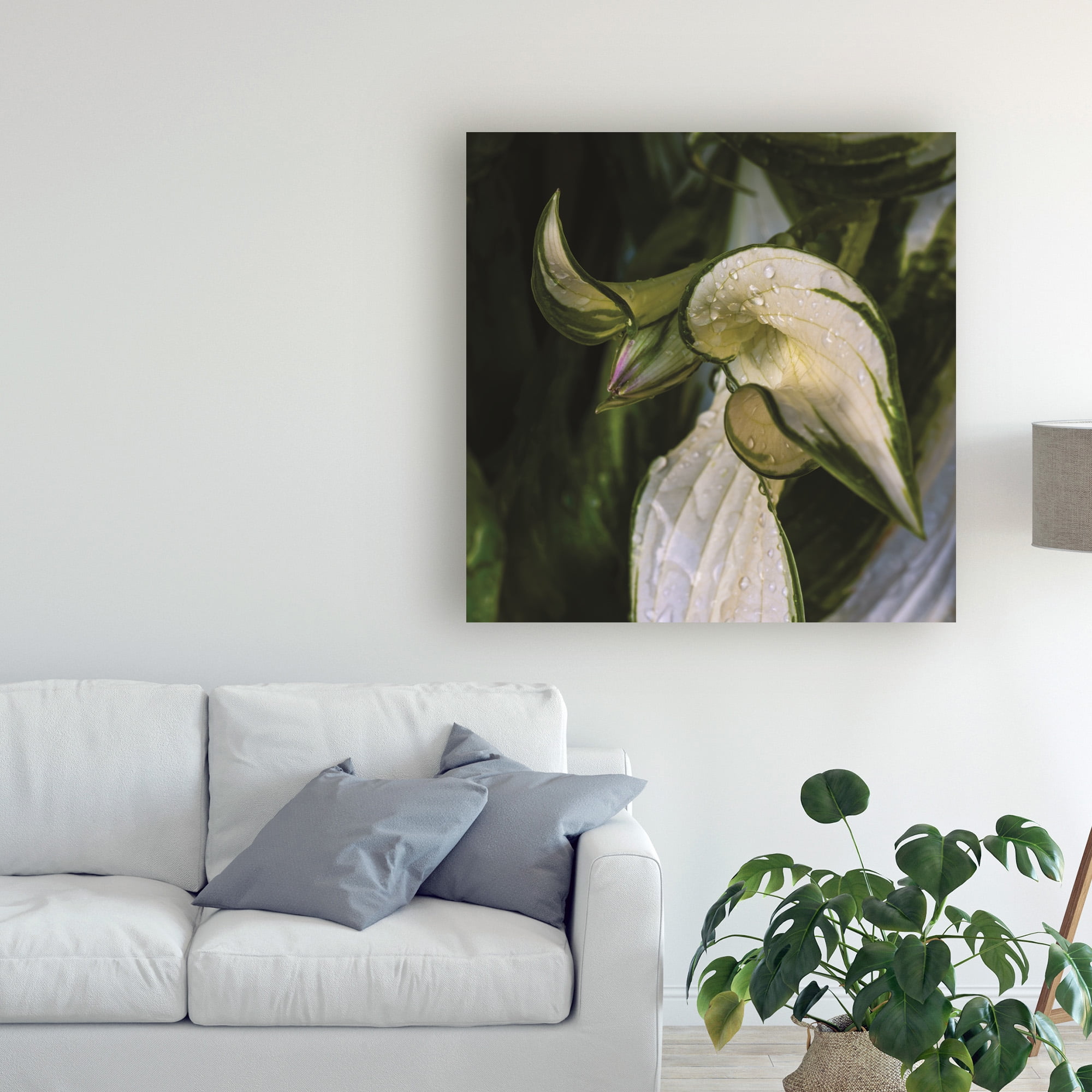 Trademark Fine Art 'Hosta Flower Bud' Canvas Art by Kurt Shaffer