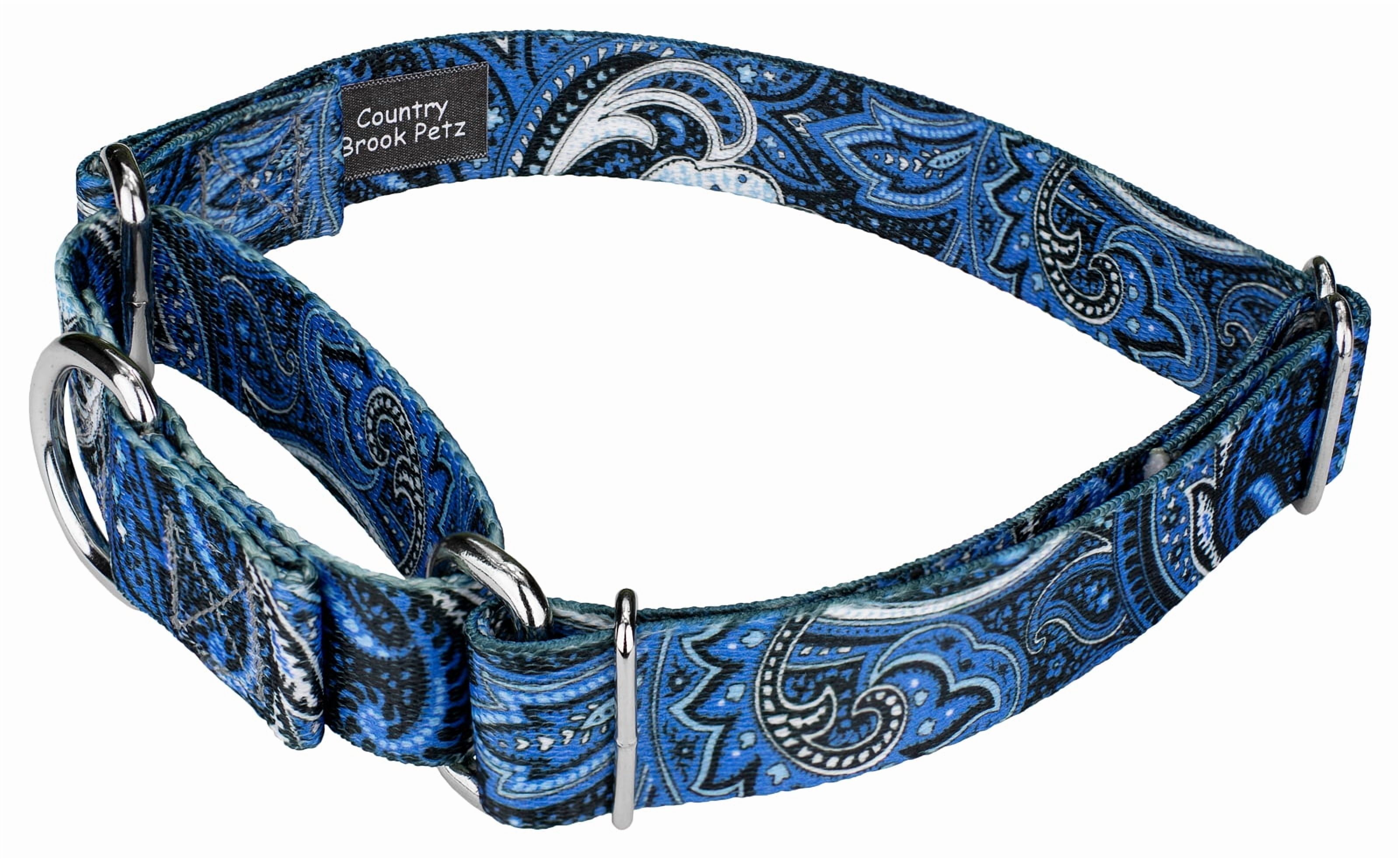 Country Brook Petz® Blue Paisley Martingale Dog Collar and Leash, Small