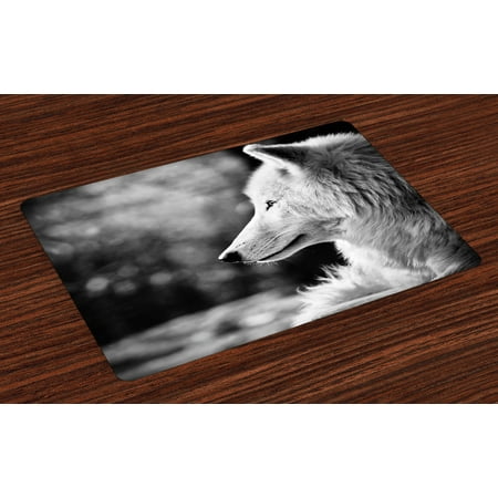 Wolf Placemats Set of 4 Animal Profile Portrait in the Nature Wildlife Carnivore Greyscale Canine Photography, Washable Fabric Place Mats for Dining Room Kitchen Table Decor,Pale Grey, by (Best Places For Wildlife Photography)