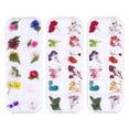 thumbnail image 1 of Caja de flores secas para uñas, artesanía de resina con flores secas, mezcla de mini flores secas, 12 colores, 1 of 5