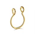 thumbnail image 1 of 5 Pcs de Faux Anneau de Septum en Forme de U en Acier Inoxydable Perforation du Nez Faux Bijou de Perforation (Or), 1 of 1