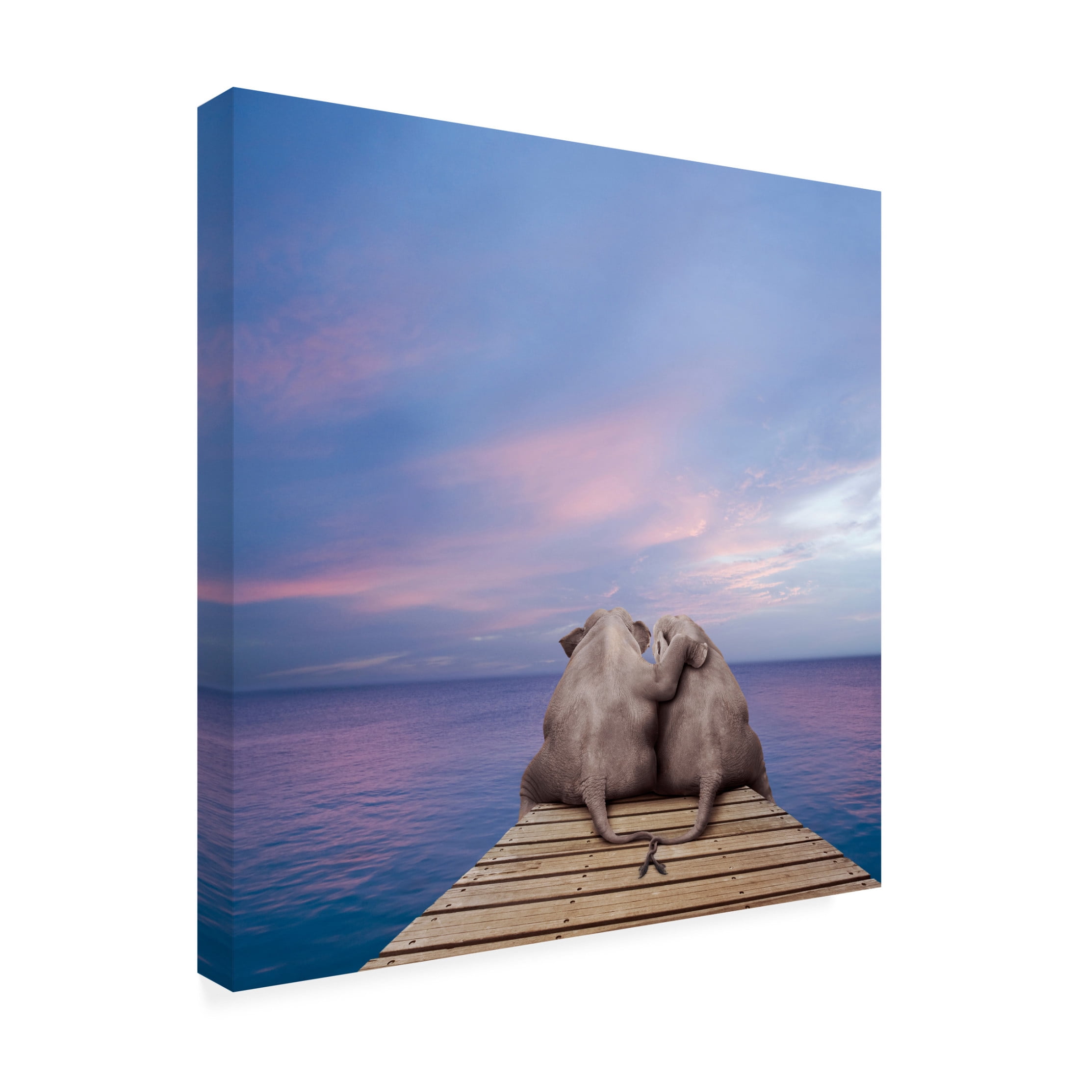 Canvas Wall Art - Lund Roeser 'Pachyderm Pier' Wall Art for Living Room, Bedroom, or Office Décor by Trademark Fine Art - 35 x 35 Inches