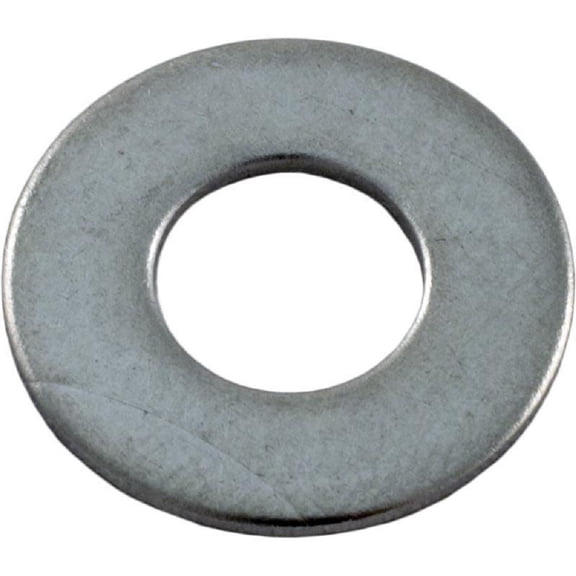 Pentair 072184 Flat Washer