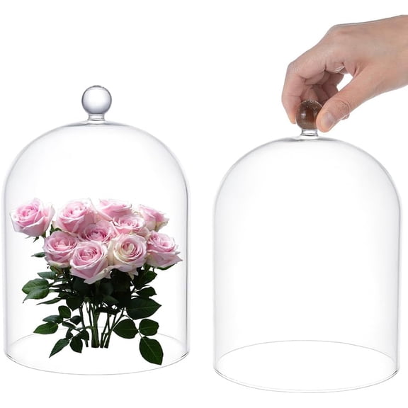 Clear Glass Bell Jar 7.87"x5.9" Glass Dome Cloche Collectibles Dome Showcase Decorative Bell Jar with Ball Handle for Plants Fairy Lights Table Decor Medal Photos