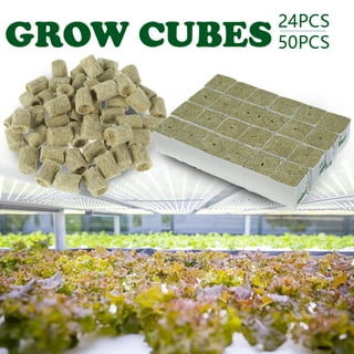  Grodan Rockwool Cubes, Indoor Gardening and Seed Starting  Usage, (1 inch) 100 Cubes : Patio, Lawn & Garden