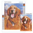 thumbnail image 4 of Perro pintado con diamantes redondos 5D DIY, mosaico bordado de animales, punto de cruz, rompecabezas para la venta, arte de diamantes de imitación, decoración del hogar, Hobby, 4 of 4