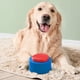 thumbnail image 4 of Ganfancp Botón de Comunicación para Mascotas Entrenamiento Interactivo Altavoz Juguete para Perro Llave Altavoz Llamada Comida Cachorro Suministros Ofertas Del Día Liquidación 1 X Comunicador para Ma, 4 of 7