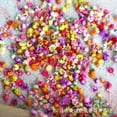 thumbnail image 4 of 710/1420PCS Dried Flowers Set Art Craft Epoxy Resin Candle Making Jewelry Glass USA, 4 of 11