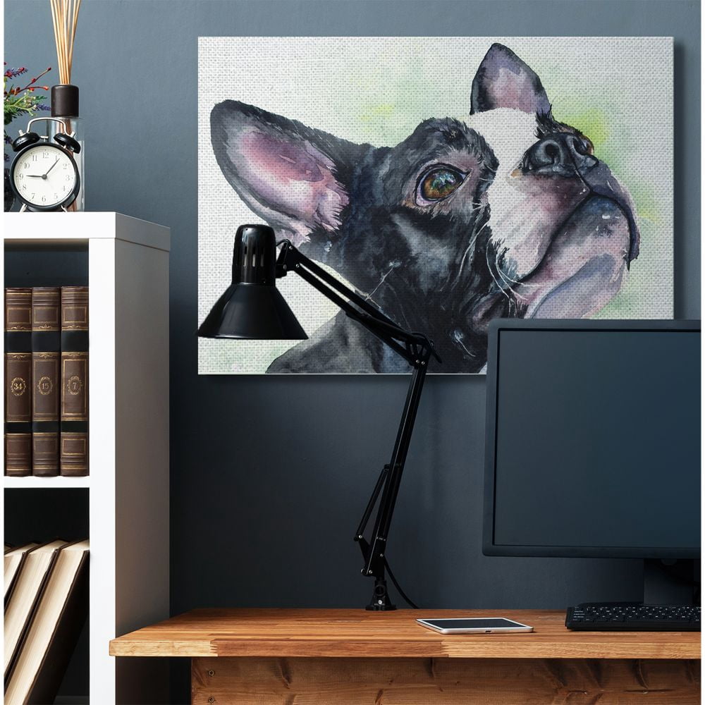 Stupell Industries Boston Terrier Dog Pet Animal Watercolor Painting Super Canvas Wall Art by George Dyachenko