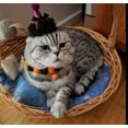 thumbnail image 1 of Gatos de Halloween desmontables con calabaza ajustable y campana (calabaza), 1 of 8