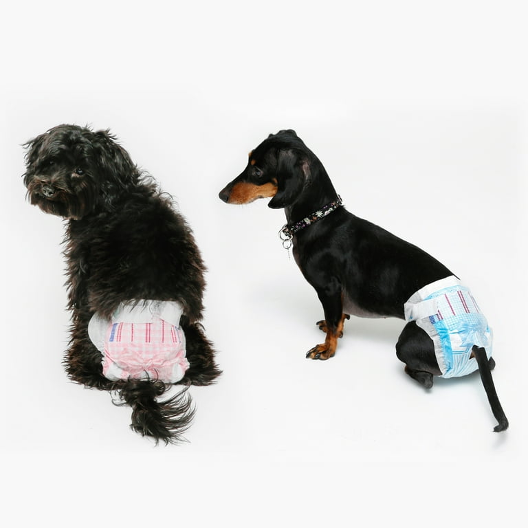 Dachshund diapers best sale