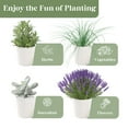 thumbnail image 5 of PERFNIQUE Indoor Herb Garden, Herb Garden Planter for Indoor/Outdoor, Farmhouse Plant Pots, Windowsill Herb Garden Kit with Tray, Window Pots for Indoor Plants (Off White), 5 of 7