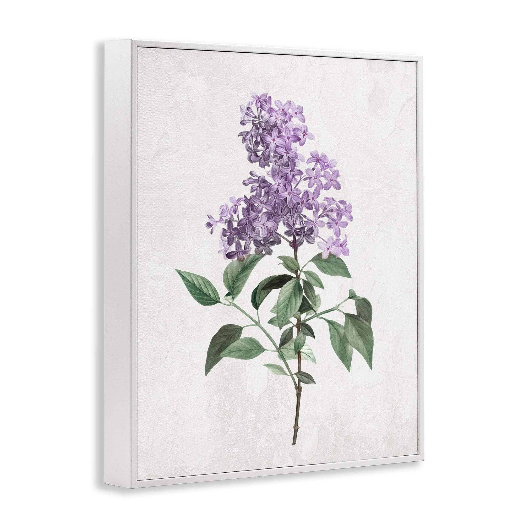 Stupell Industries Lilac Herb Blossoms White Framed Giclee Art, design by Kim Allen