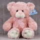 thumbnail image 4 of PELUCHERIA| Oso de Peluche Premium Rosa, 4 of 4