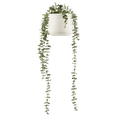 thumbnail image 1 of Bouclair Faux Trailing Hanging Plant in Ribbed White Pot, 1 of 2