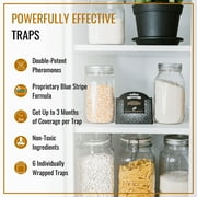 Dr. Killigans Premium Pantry Moth Traps with Pheromones Organic, 6, Black