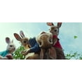 thumbnail image 3 of Peter Rabbit (DVD Sony Pictures), 3 of 6