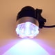 thumbnail image 4 of Lámpara de luz ultravioleta, luz ultravioleta USB ajustable Lámpara de luz ultravioleta USB de curado ultravioleta LED Altamente versátil, 4 of 12