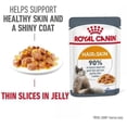 thumbnail image 2 of Royal Canin Intense Beauty Cat Wet Food in Jelly 12x85g, 2 of 9