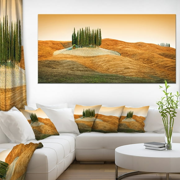 Cypress Grove Panorama - Landscape Canvas Art Print