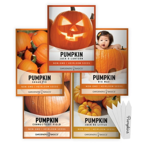 Pumpkin Seeds for Planting | 5 Variety Pack