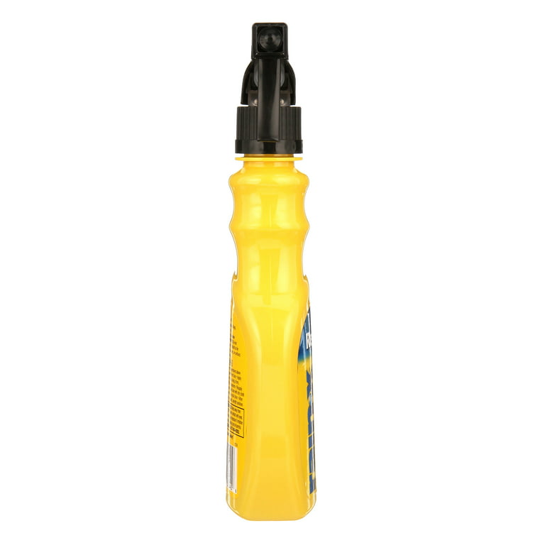 Rain-X 12 Fluid Ounces Pump Spray Glass Cleaner at