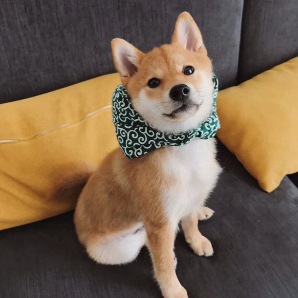 Shiba scarf on sale