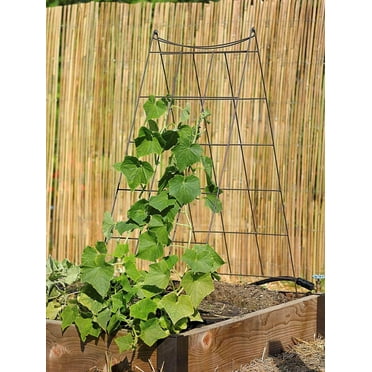Gardener's Supply Company Wire A-Frame Trellis | Strong and Sturdy Metal Outdoor Garden Trellis Plant Support for Cucumbers, Squash, Vine Herbs & Other Climbing Plants | Easy to Install